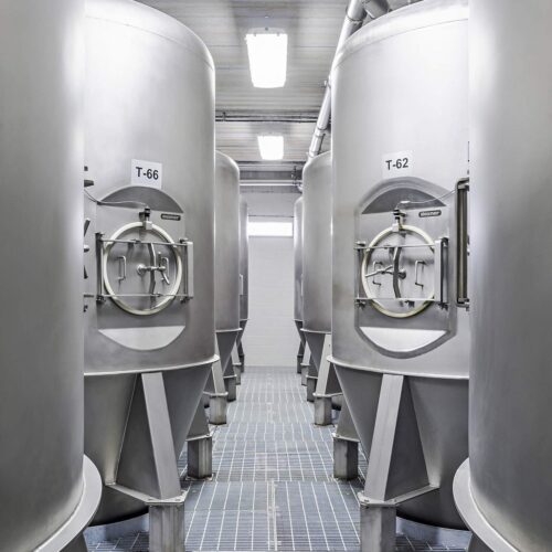 Daxner Silos Innensilos Tagessilos