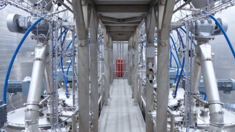 Daxner Backwaren Brötchenerzeugung  industrial bakeries bread production